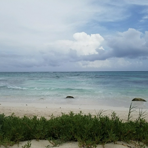 Meet your Posher, Elina - Picture 1 of 1